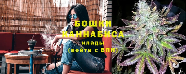 МДПВ Волоколамск