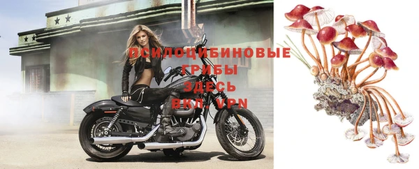 МДПВ Волоколамск