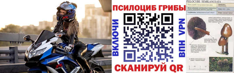 Галлюциногенные грибы мухоморы Назарово